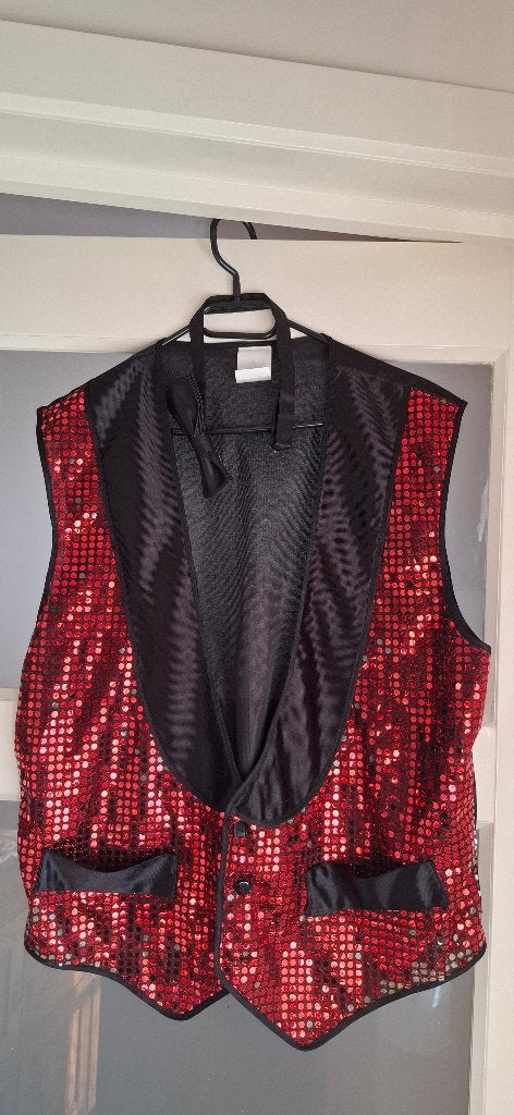 Glitter gilet, Ophalen of Verzenden, Zo goed als nieuw, Feestartikel, Carnaval