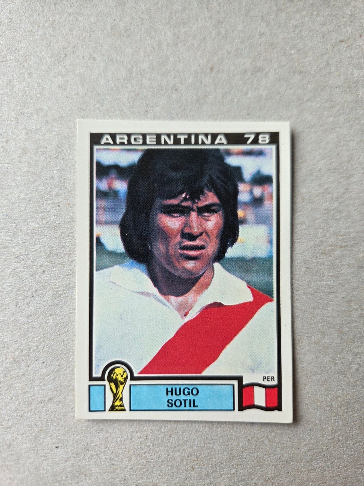 Panini WK 78, Ophalen of Verzenden, Zo goed als nieuw, Buitenlandse clubs, Poster, Plaatje of Sticker