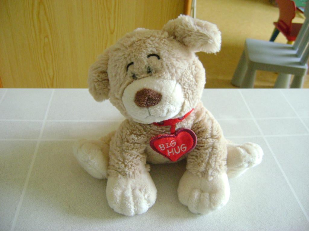 beige pluche hond sammy 25cm met hartje met big hug erop, Zo goed als nieuw, Middelgroot (20 tot 80 cm), Wasbaar, Beige
