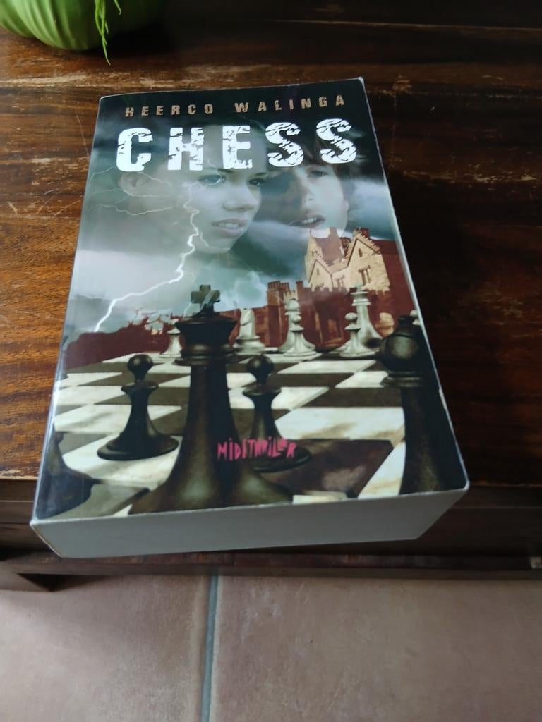 Heerco Walinga - Chess, Boeken, Ophalen of Verzenden, Zo goed als nieuw