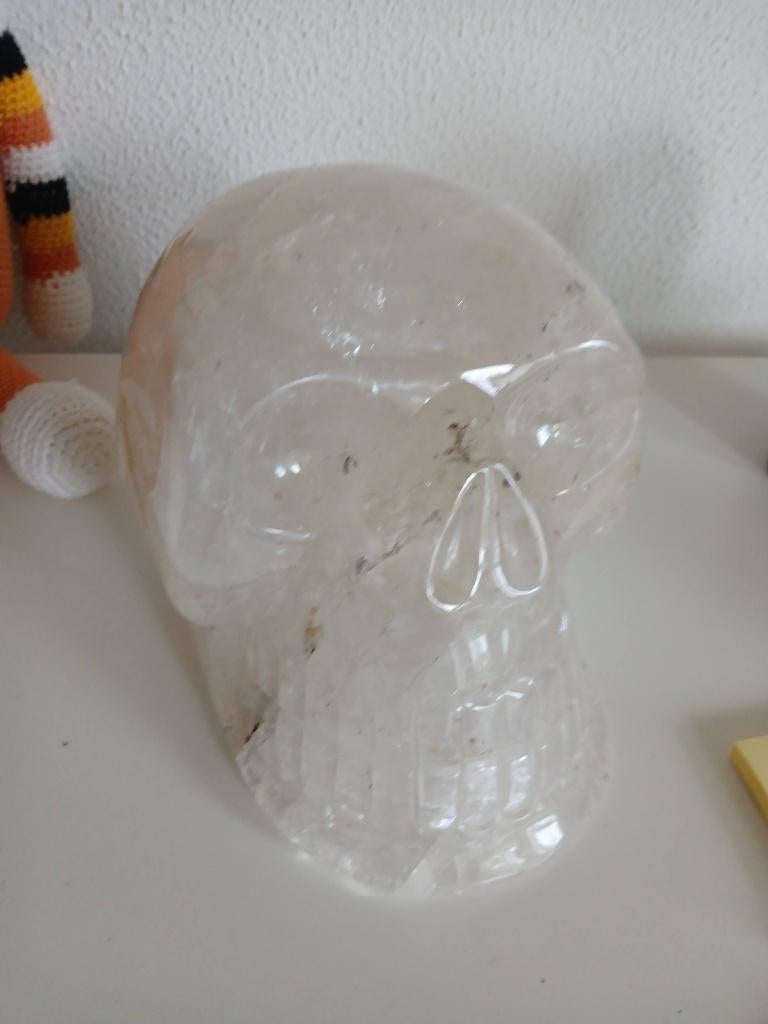 Kristallen schedel, 8,2 kg, Witgoed en Apparatuur, Bruiswatermachines, Ophalen of Verzenden, Zo goed als nieuw