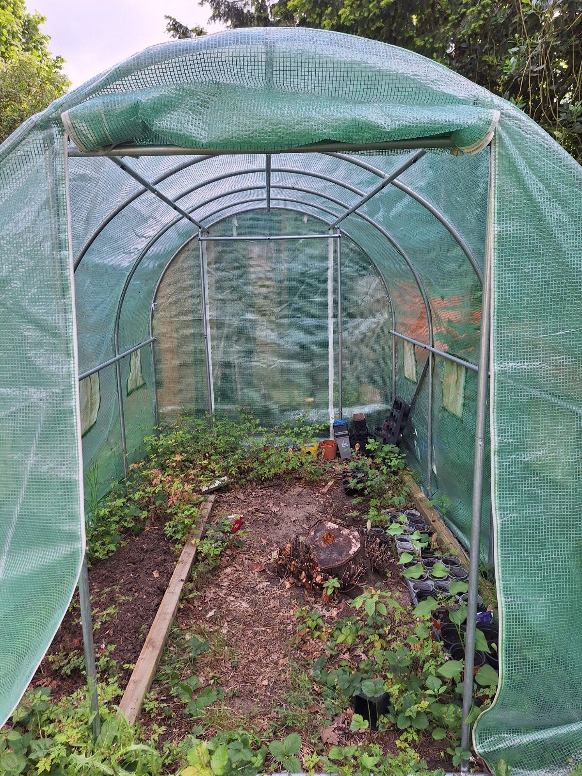 Ruime tunnelkas voor moestuin of kweek, Tuin en Terras, Kassen, Ophalen, Gebruikt, Folie, Kweekkas