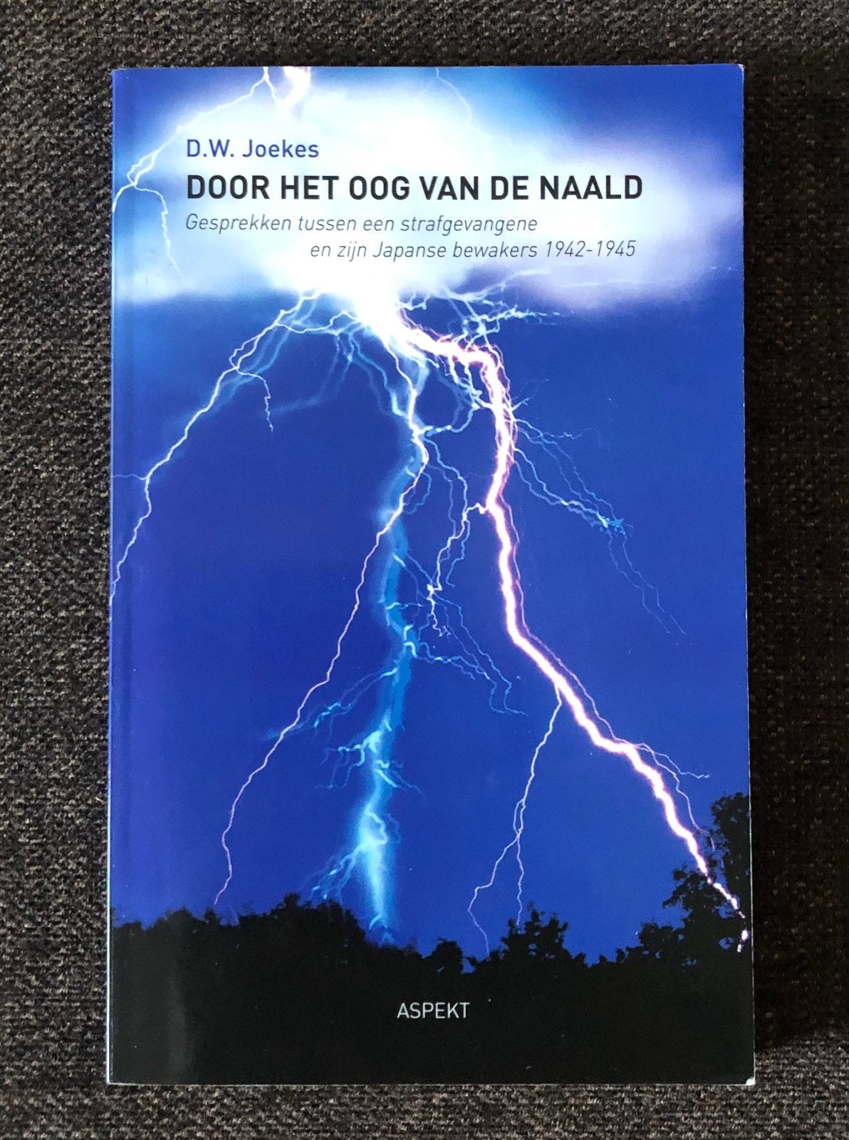 Japanse bezetting Indië (Door het oog van de naald), Boeken, Ophalen of Verzenden, Tweede Wereldoorlog, Zo goed als nieuw, Landmacht