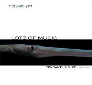 Mark alban lotz, lotz of music – pendant la nuit cd llr 017, Verzenden, Zo goed als nieuw, Jazz