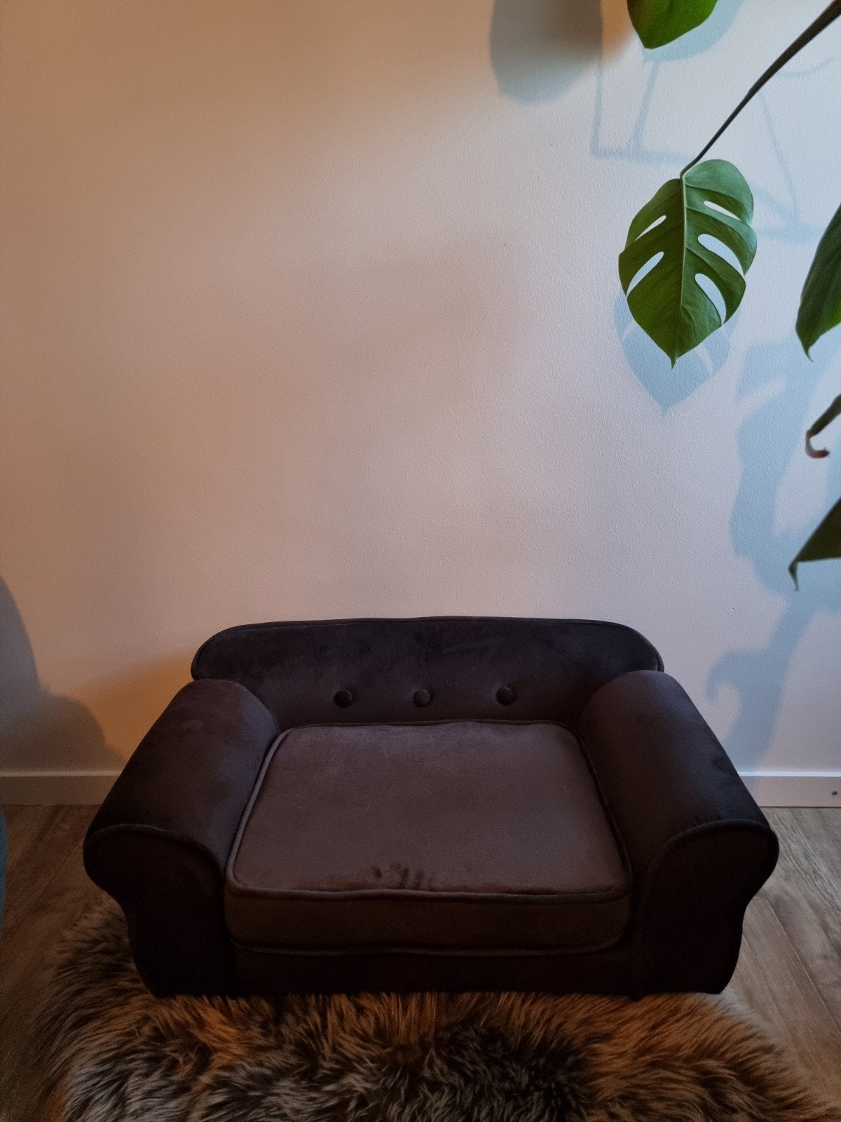 Sofa  bankje voor een kleine  hond, Ophalen of Verzenden