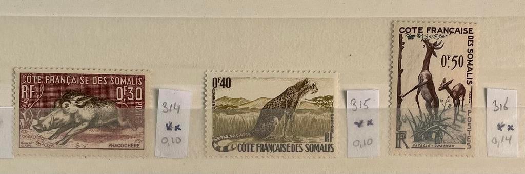 3 postzegels Djibouti; dieren, Ophalen of Verzenden, Dier of Natuur