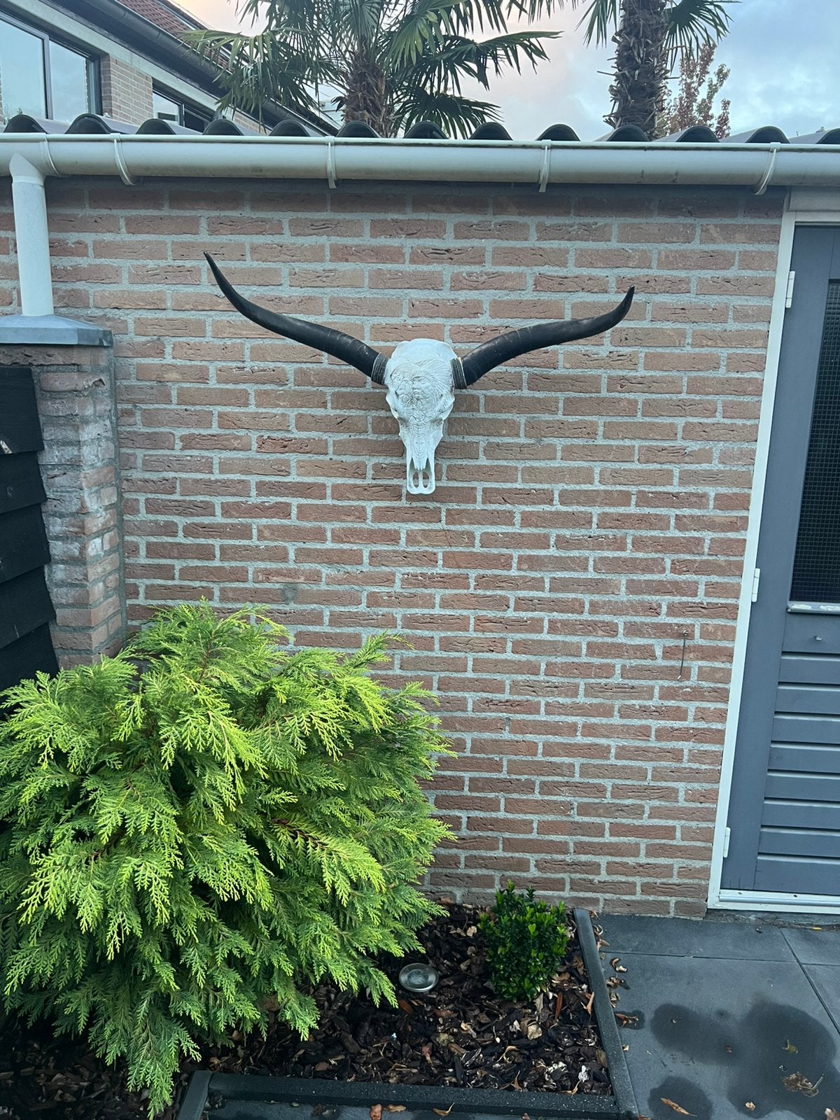 Decoratieve Longhorn schedel met hoorns - Wanddecoratie, Ophalen, Vintage, Kunststof, Zo goed als nieuw