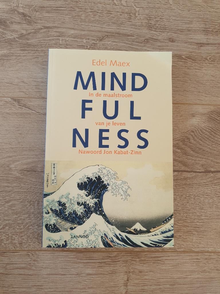 Mindfulness - Edel Maex, Boeken, Ophalen of Verzenden, Gelezen, Overige typen