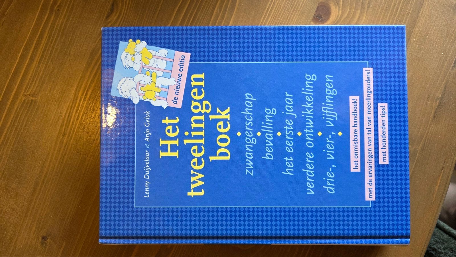 Het Tweelingenboek - Zwangerschap, bevalling en opvoeding, Ophalen of Verzenden, Gelezen, Zwangerschap en Bevalling, Lenny Duijvelaar & Anjo Geluk
