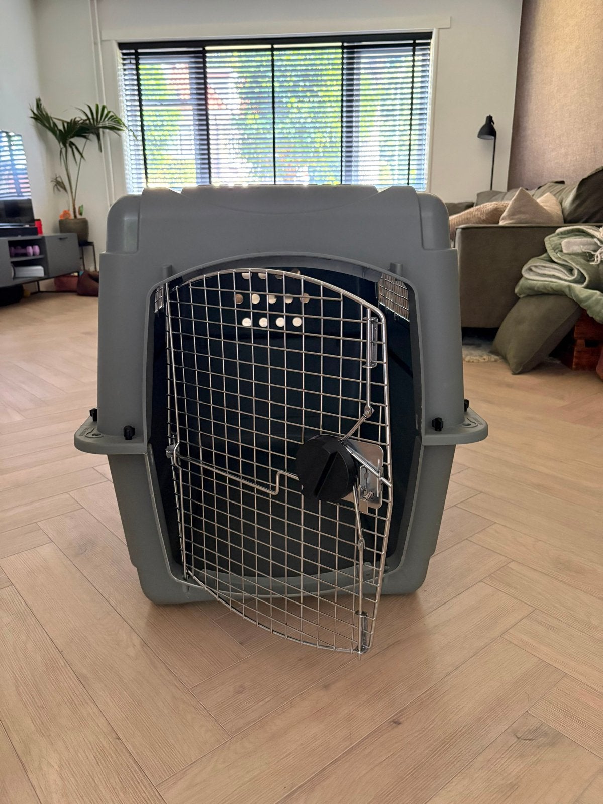 Hond transportbox, Ophalen