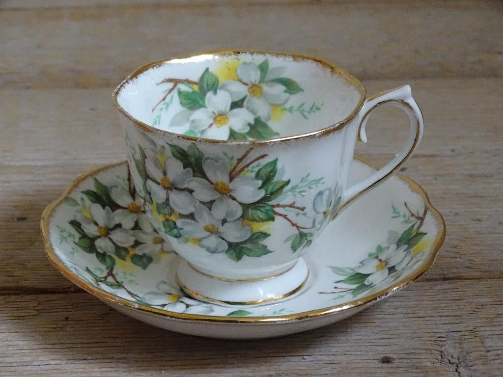Kop-en-schotel, Royal Albert WHITE DOGWOOD, gaaf, Ophalen of Verzenden
