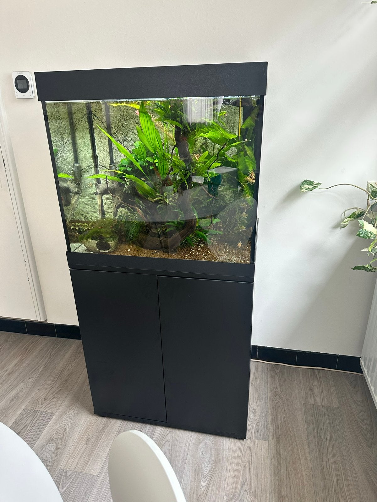 Juwel Aquarium, Ophalen, Inclusief vissen, Juwel, Gevuld zoetwateraquarium