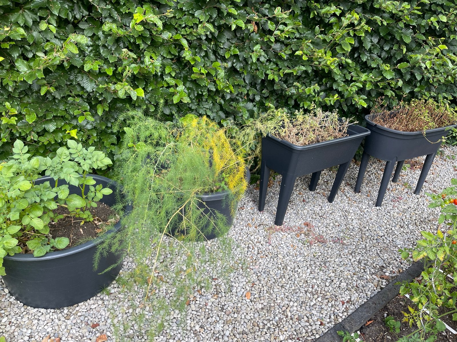 Diverse kweekbakken voor tuin en balkon, Ophalen, Kunststof, Gebruikt, Balkon