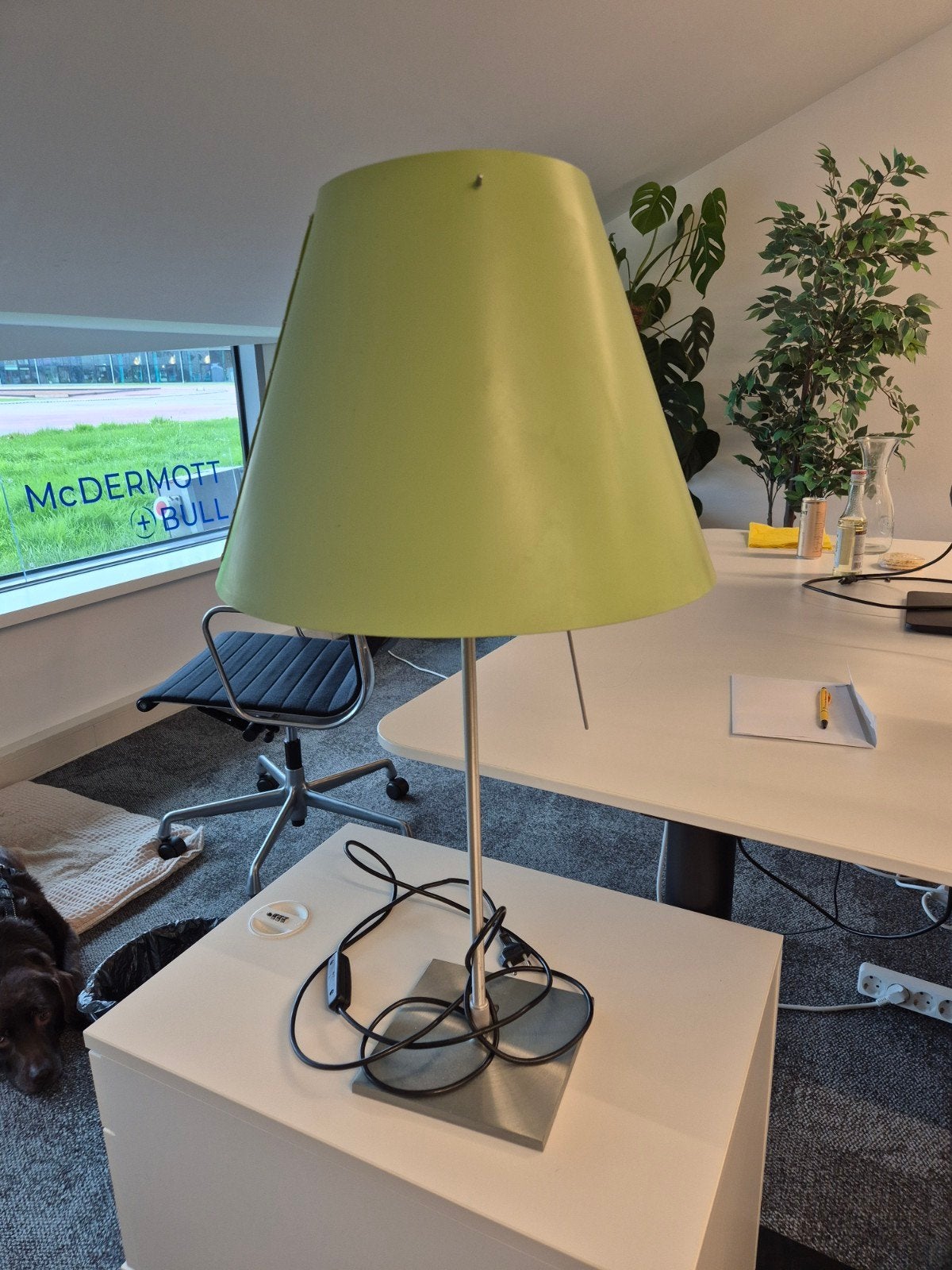 Luceplan Costanzina tafellamp met groene kap, Ophalen
