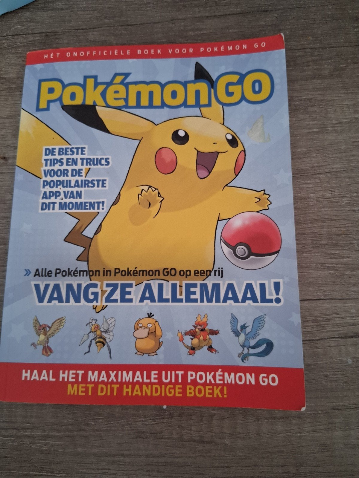 Pokémon Go, Ophalen of Verzenden, Zo goed als nieuw, Balsport