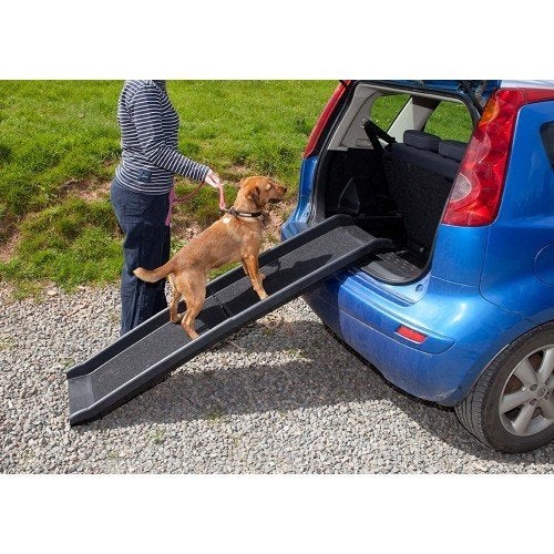 Loopplank Auto Honden Puppy Hondenloopplank div. kleuren!, Ophalen of Verzenden, Nieuw