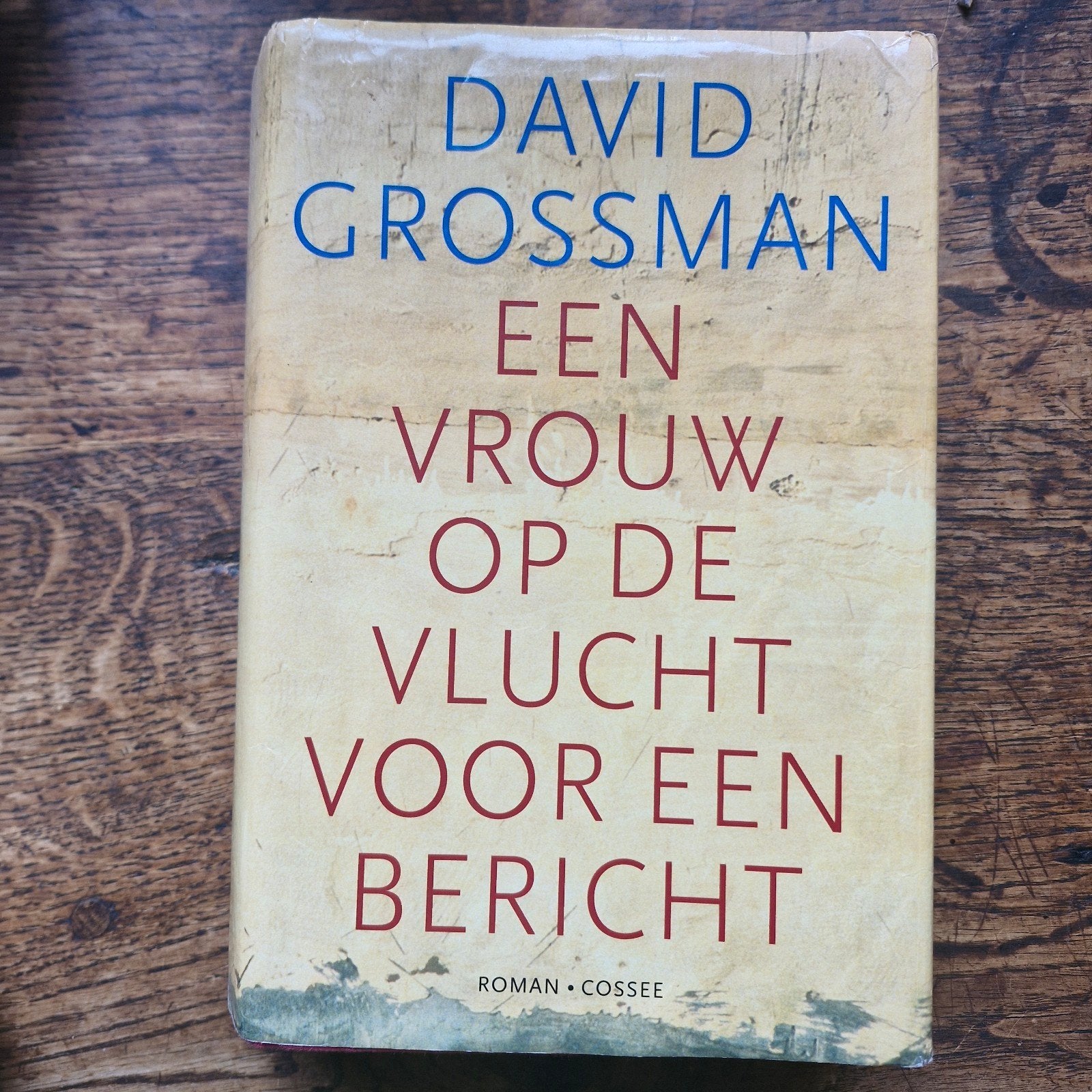 David Grossman - Een vrouw op de vlucht voor een bericht, Boeken, Ophalen of Verzenden, Gelezen, David Grossman
