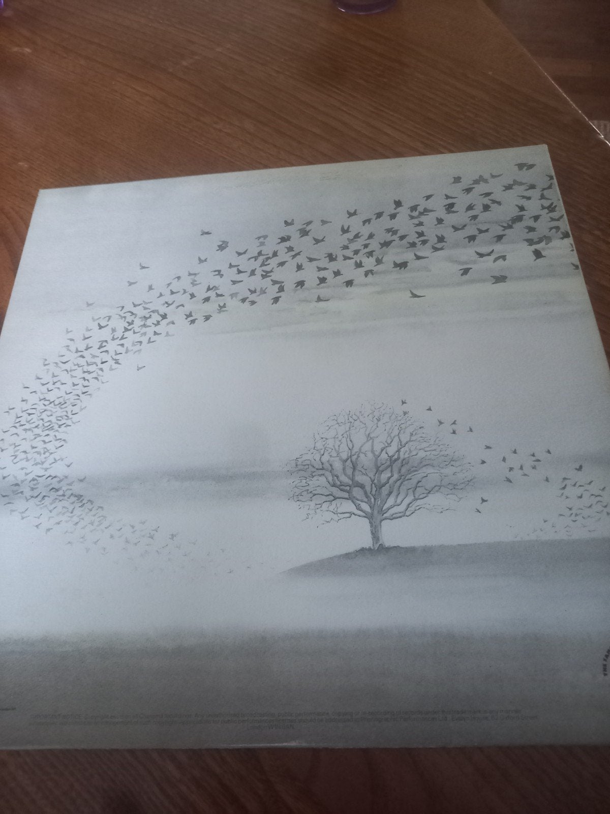 Genesis - Wind and Wuthering LP (1976), LP, Originele persing, Ophalen of Verzenden, 12 inch