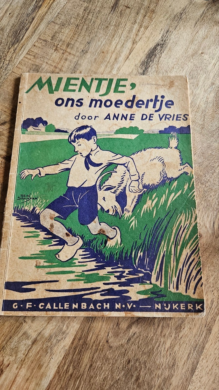 Mientje ons moedertje – Anne de Vries – oud jeugdboek, Boeken, Ophalen of Verzenden