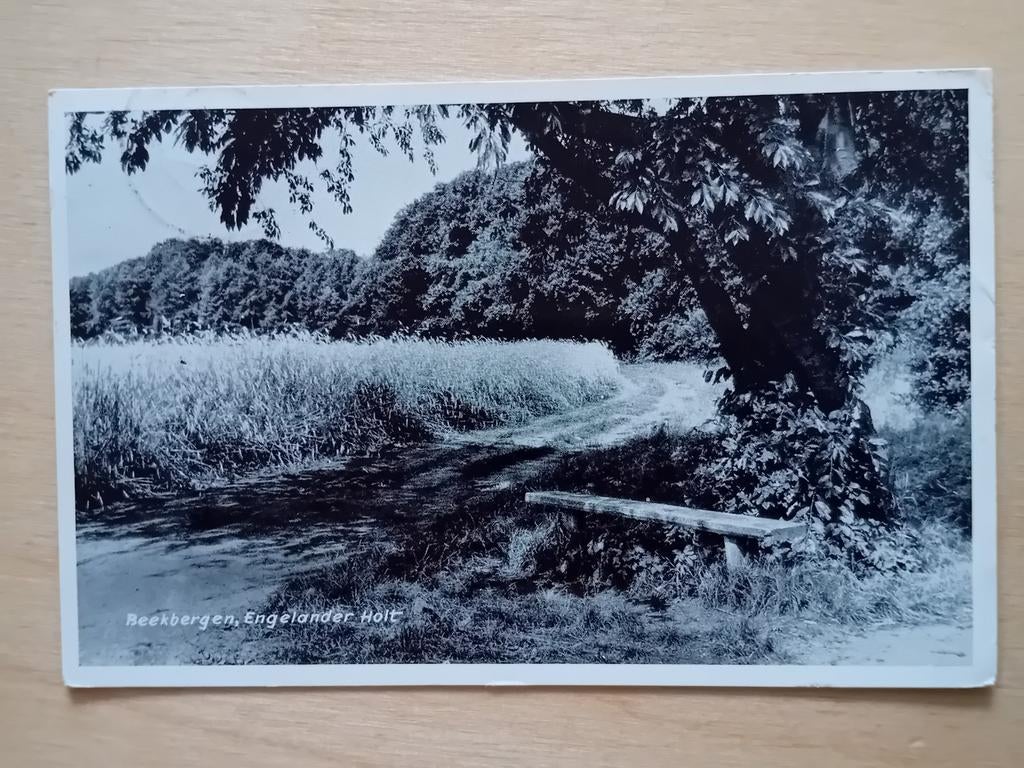 Ansichtkaart Beekbergen, Ophalen of Verzenden, Gelderland