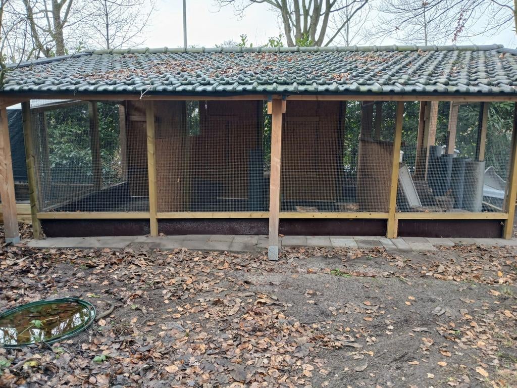 Konijnen en cavia opvang, Oppas