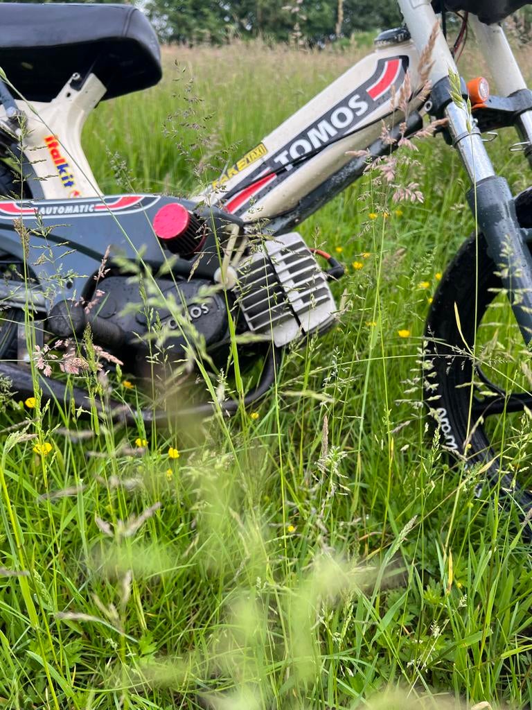 Tomos/Puch gezocht loop of sloop, Fietsen en Brommers, Brommers | Tomos, Ophalen of Verzenden, Gebruikt, Maximaal 45 km/u, Standard