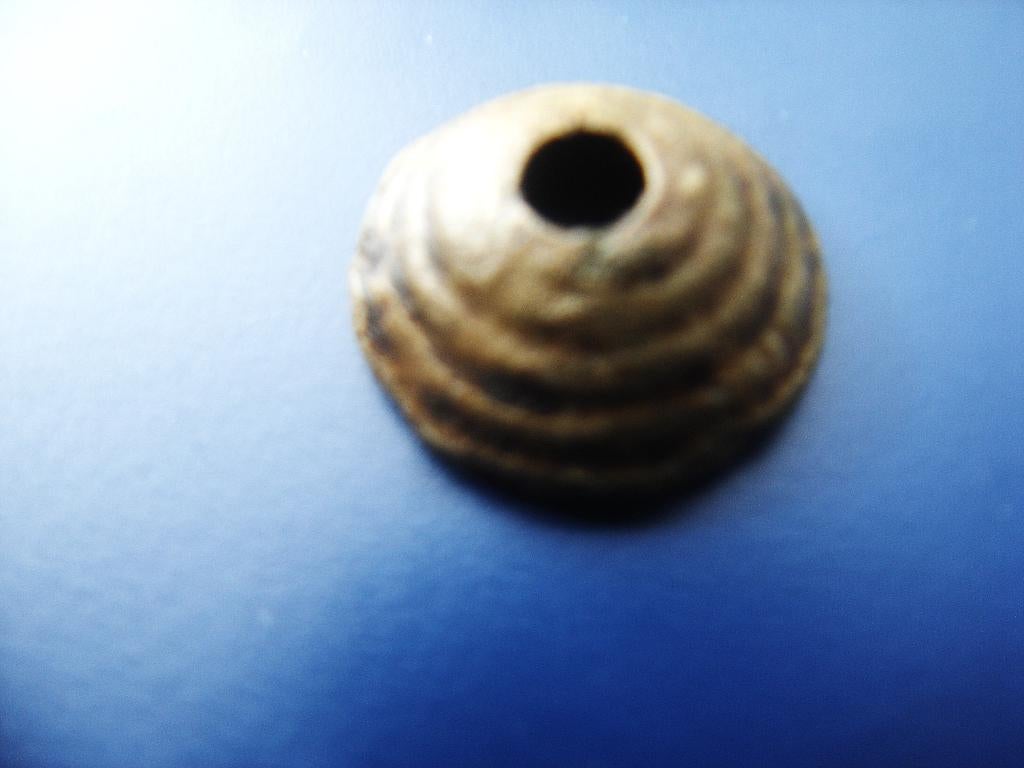 Loden Spin Gewicht, Ophalen of Verzenden