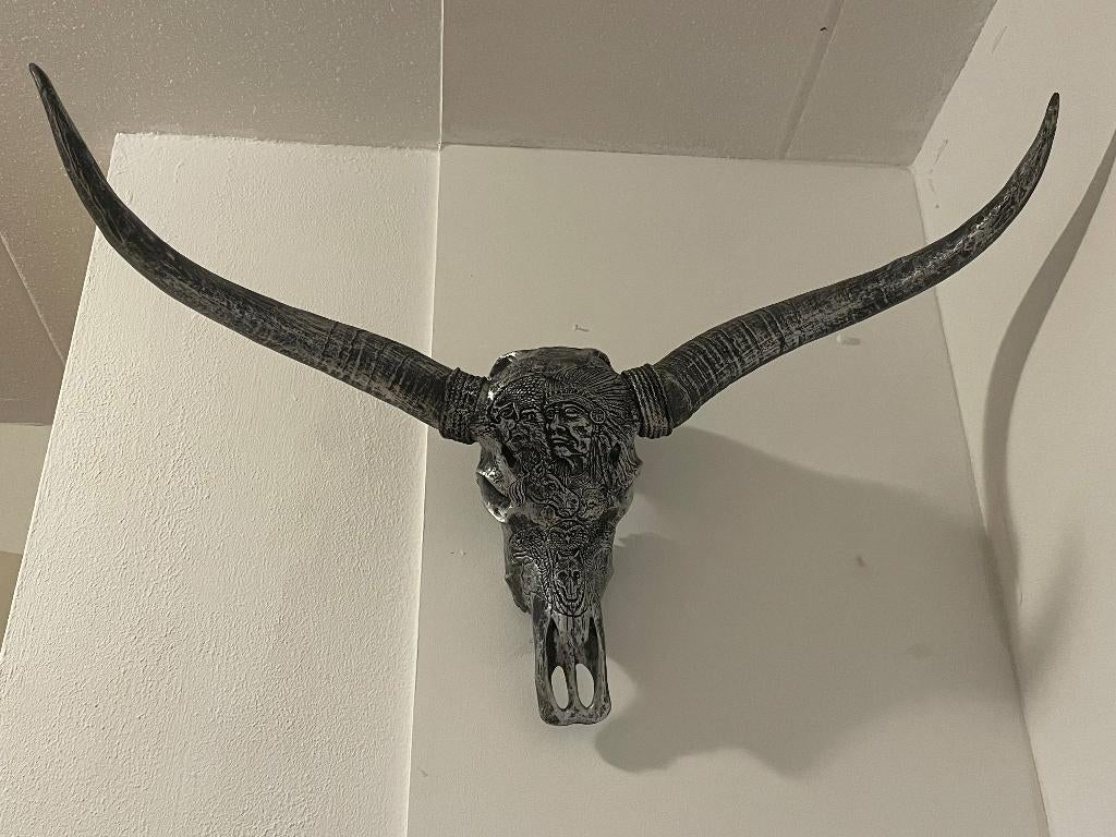 Longhorn Buffelschedel 1 meter breed, Ophalen, Zo goed als nieuw
