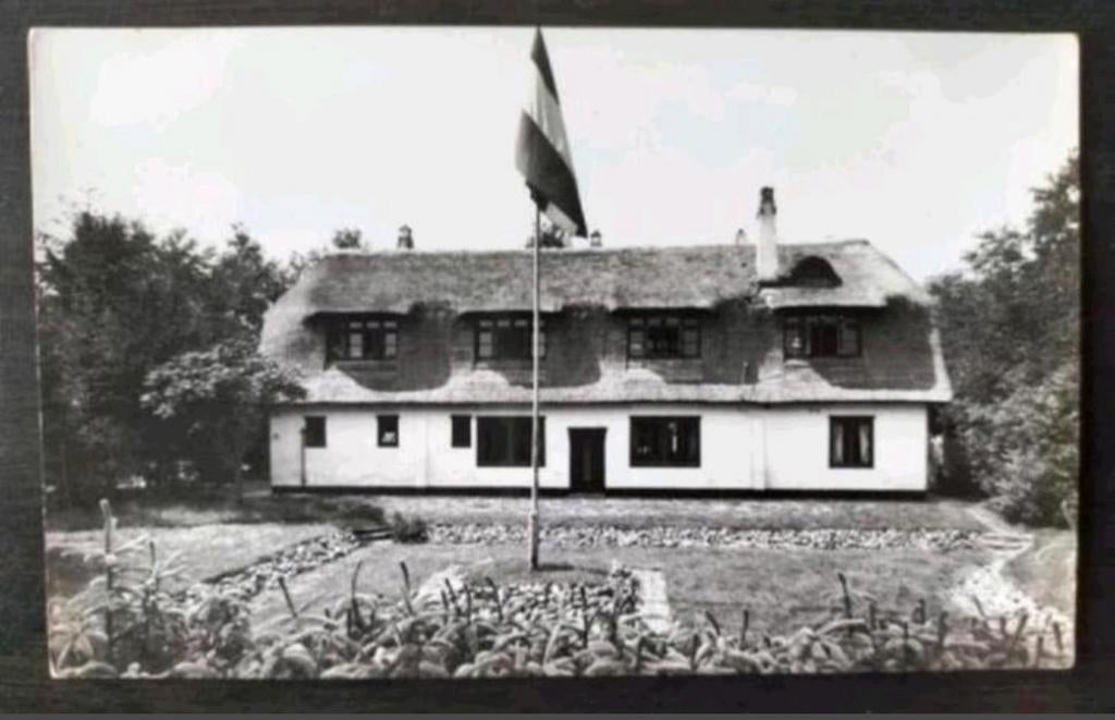 Appelscha: Jeugdherberg "Us Blau Hiem" (1953) (Boscamping), Verzamelen, Ophalen of Verzenden, 1940 tot 1960, Gelopen, Friesland