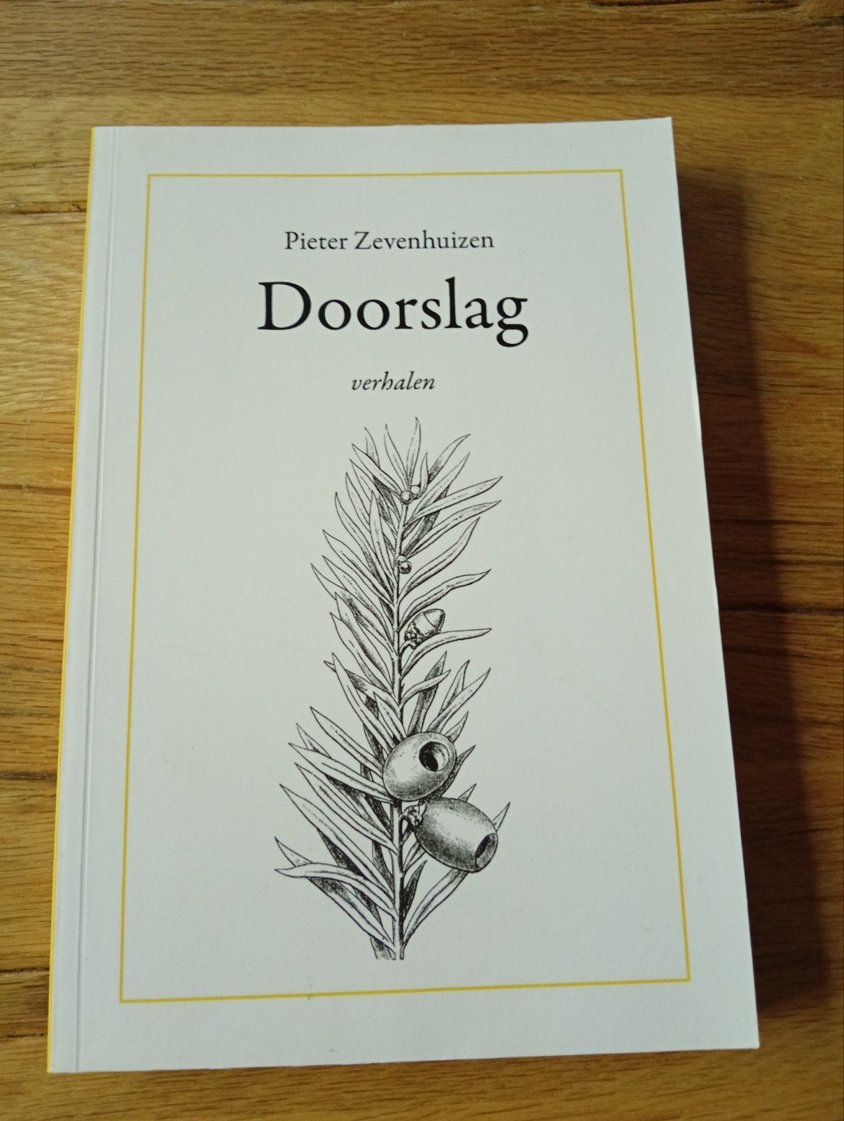 Doorslag - Verhalen van Pieter Zevenhuizen, Boeken, Pieter Zevenhuizen, Ophalen of Verzenden, Zo goed als nieuw, Nederland