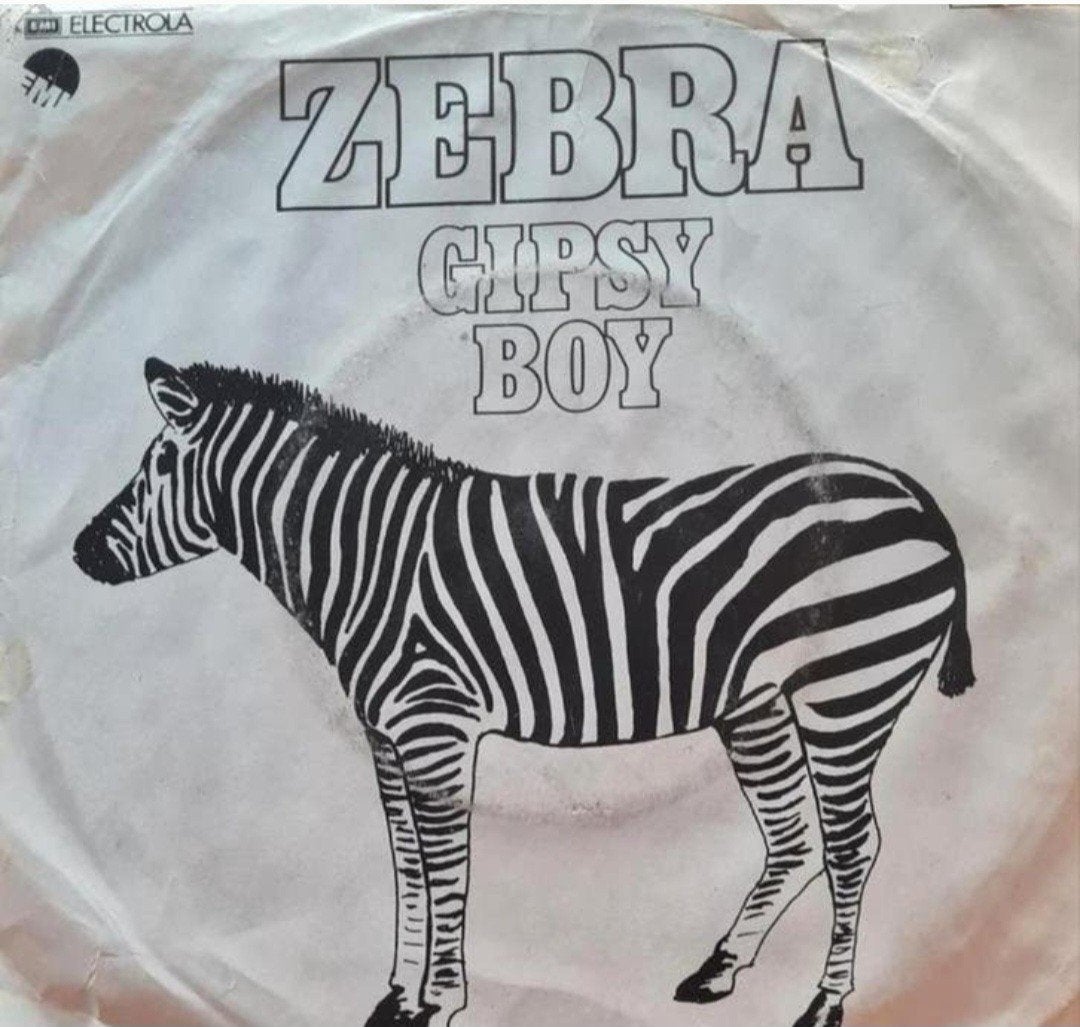 ZEBRA - GIPSY BOY, Ophalen of Verzenden, Gebruikt, Pop