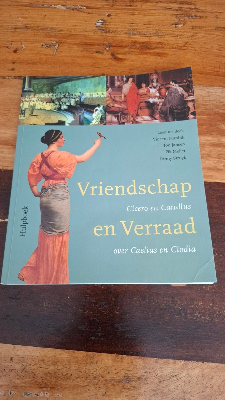 Hulpboek Latijn - Cicero en Catullus, Leon ter Beek, Vincent Hunink, Zo goed als nieuw, Alpha, HBO
