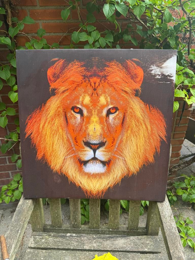 Foto Schilderij leeuw, Ophalen of Verzenden, Zo goed als nieuw, Schilderij
