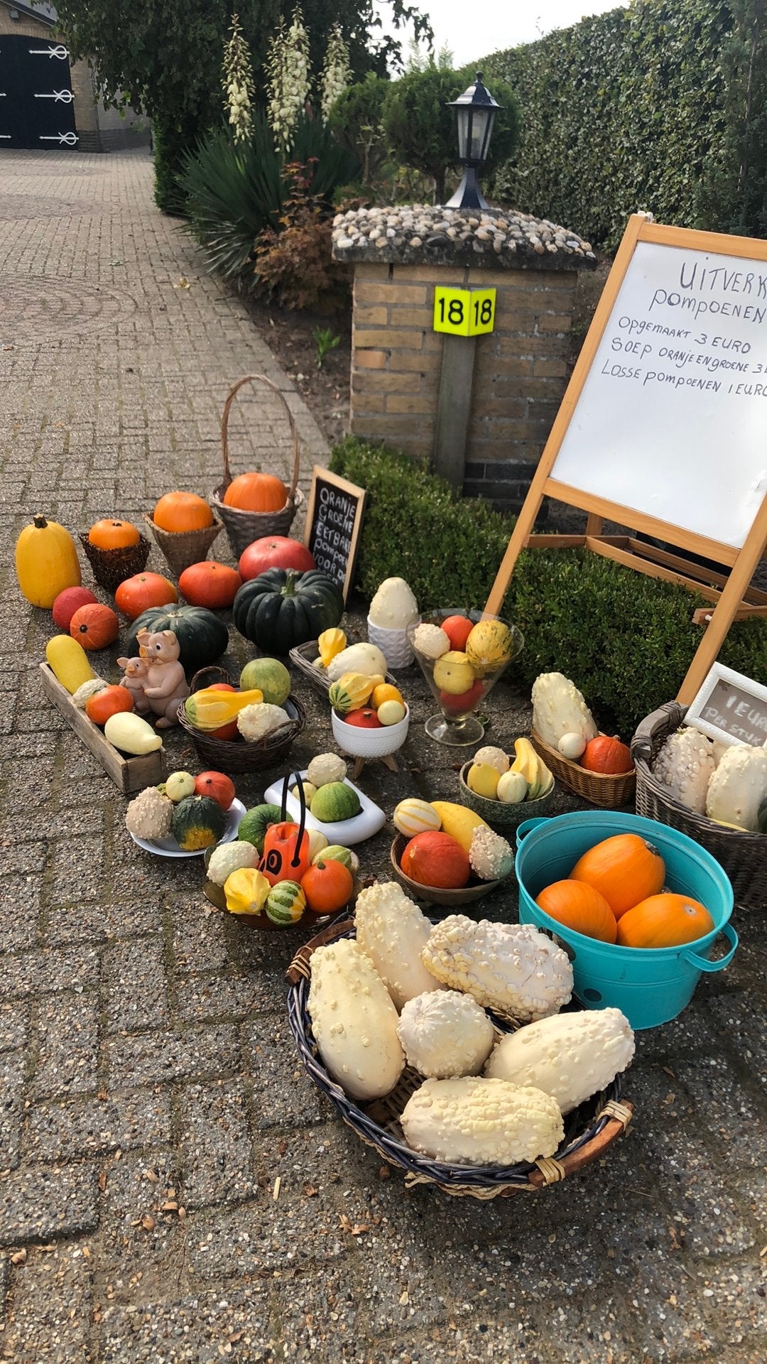 Uitverkoop pompoenen, Ophalen, Nieuw