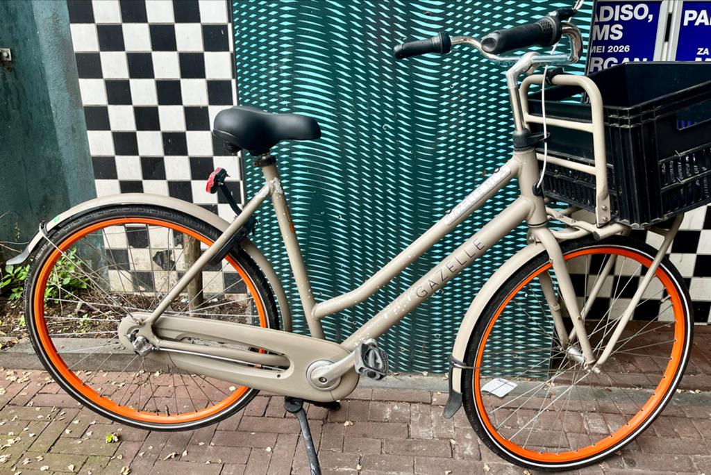 Gazelle Duty NL, 3 versn. terugtraprem AXA slot, fiets krat, Fietsen en Brommers, Ophalen, Terugtraprem, Gebruikt, Versnellingen