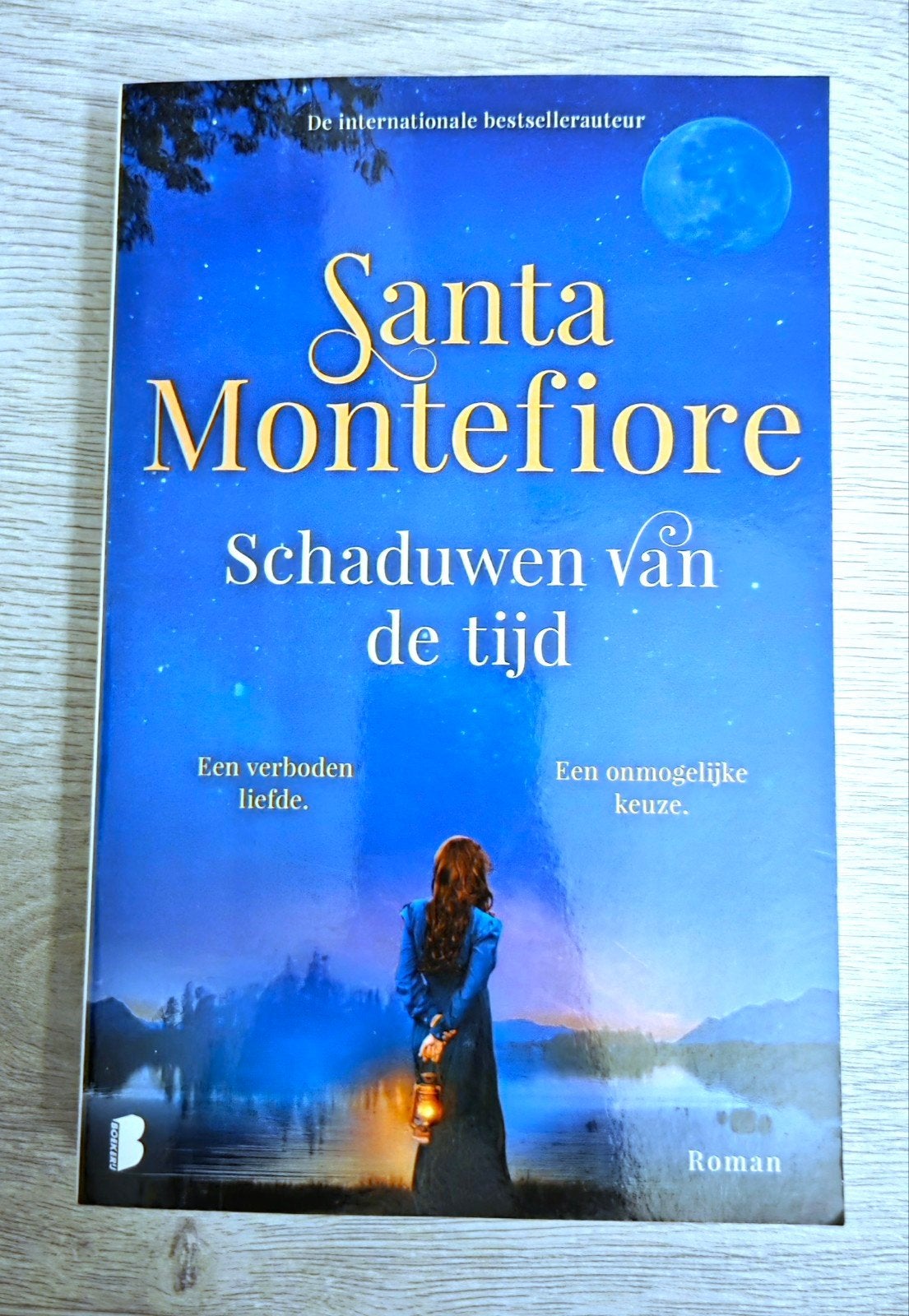 Santa Montefiore  - Schaduwen van de tijd, Boeken, Romans, Ophalen of Verzenden, Gelezen, Santa Montefiore