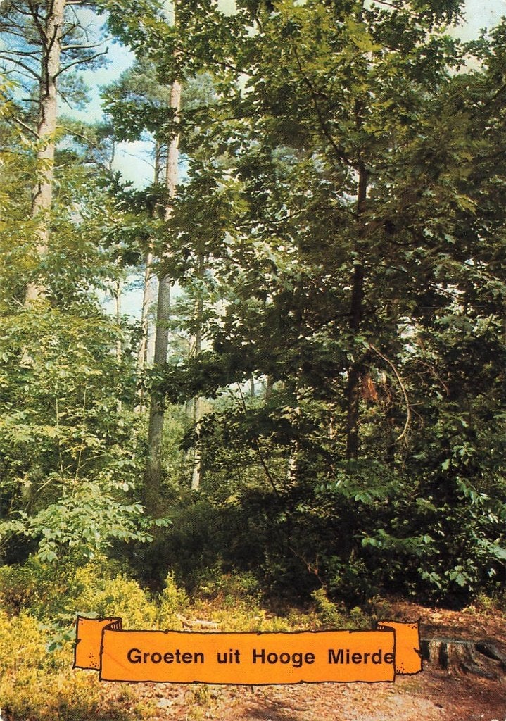 Groeten uit Hoog Mierde, Ophalen of Verzenden, 1980 tot heden, Gelopen, Noord-Brabant