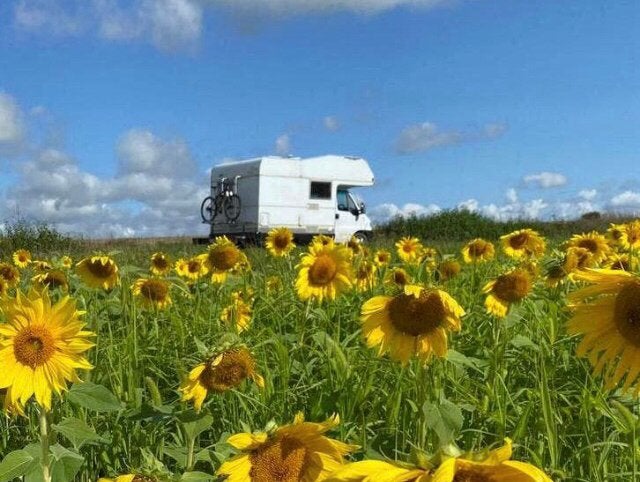 Hymer swing slechts 4.75m fiat ducato offgrid zonnepaneel, Auto's, 13 km/l, 2387 kg, Wit, 1929 cc