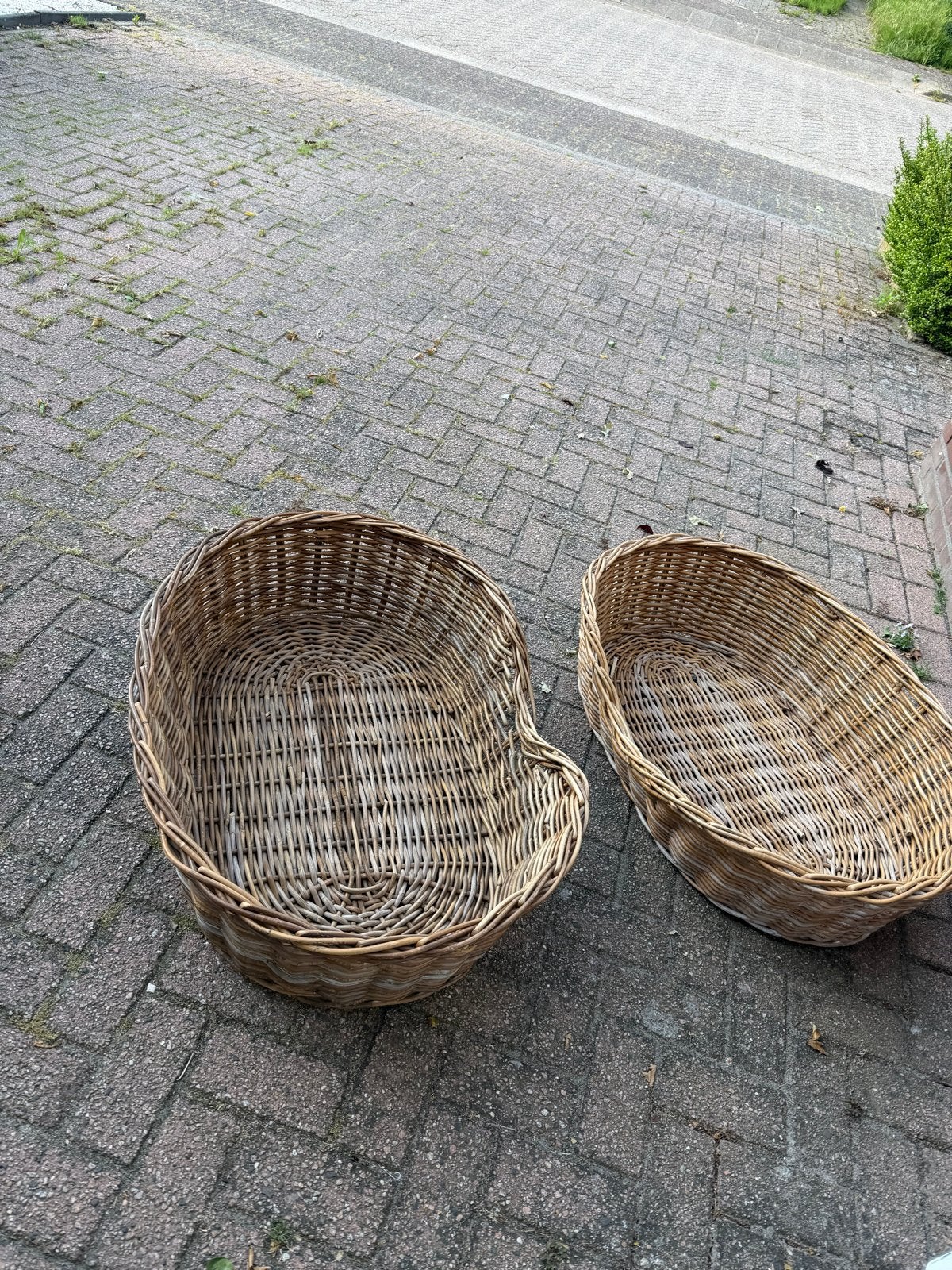 Rieten honden manden, Ophalen, Zo goed als nieuw, Riet
