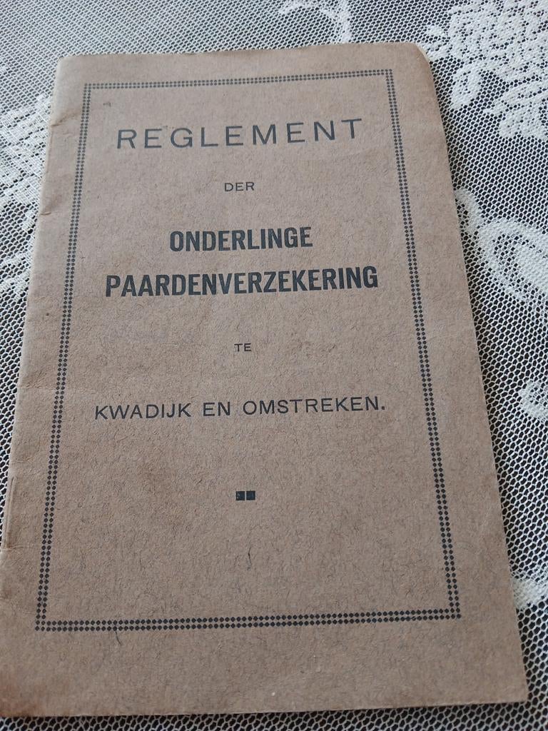 Reglement der Onderlinge Paardenverzekering 1920, Boeken, Geschiedenis | Stad en Regio, Ophalen of Verzenden, 20e eeuw of later