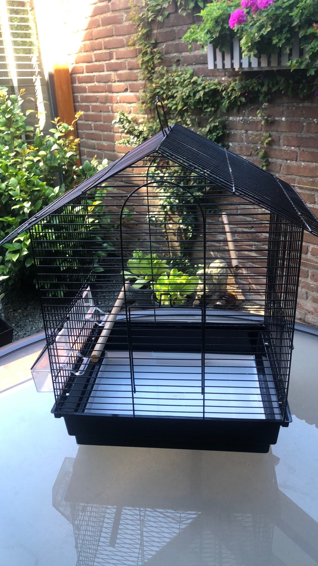 Mooi kanariekooitje, Dieren en Toebehoren, Vogels | Hokken en Kooien, Ophalen, Zo goed als nieuw, Metaal, Vogelkooi