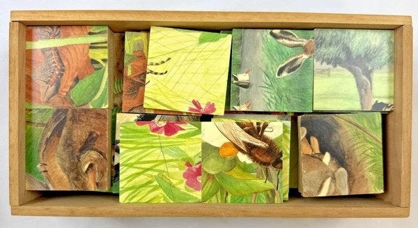 Nienhuis Montessori Tim-Tom Dierenbox houten leerspel spel, Coolsingel 104, 3011 AG Rotterdam, Netherlands, Elektronica, Verzenden