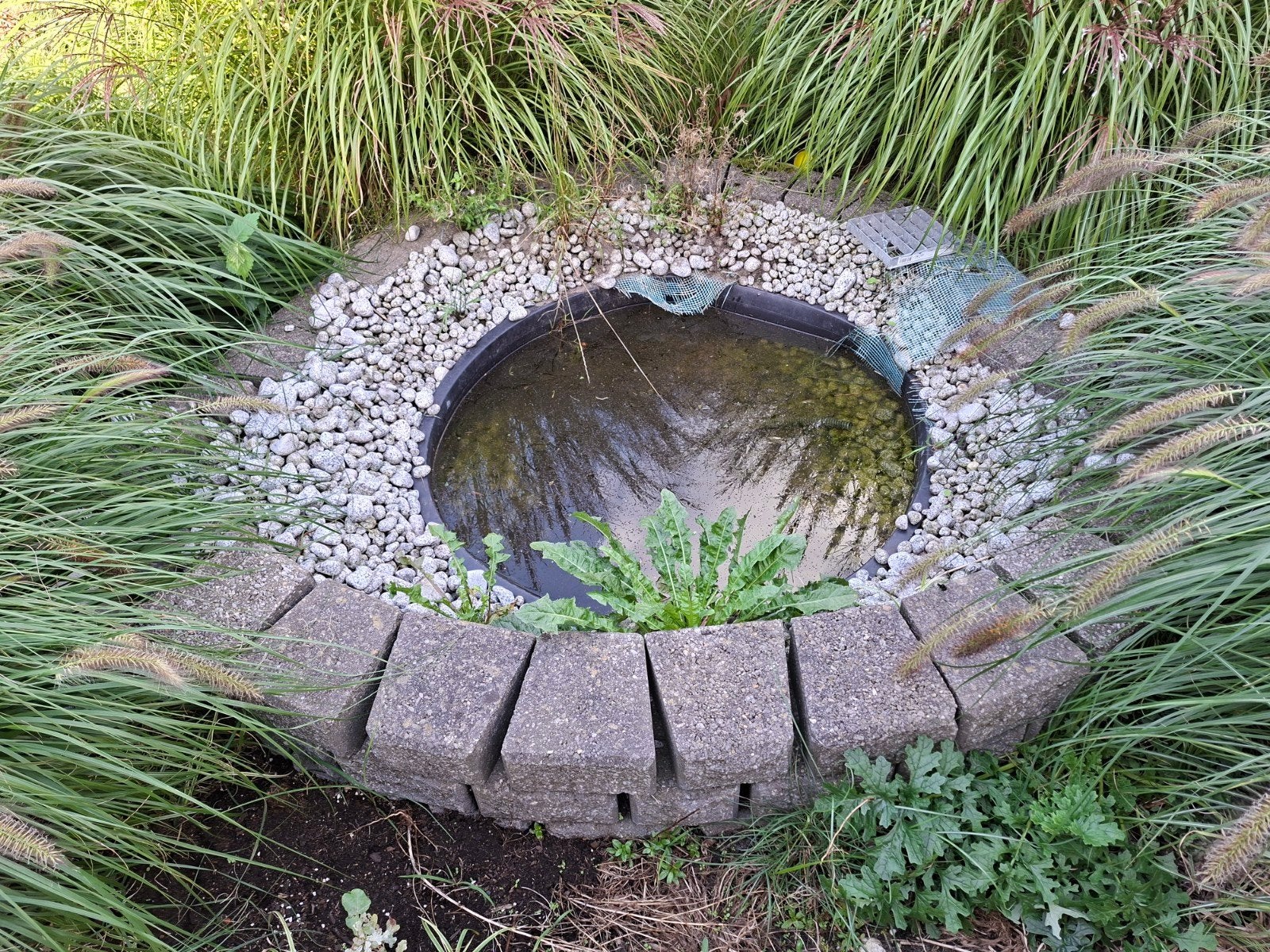 Stapelstenen 50<stuks gratis, Tuin en Terras, Ophalen, Gebruikt, Minder dan 30 cm, Vierkant