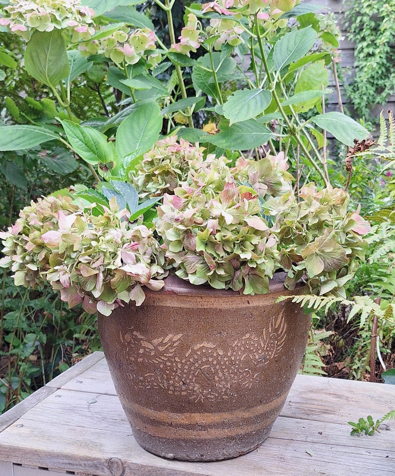 Drakenpot Plantenpot Planten Pot Drakenmotief 34 cm hoog, Ophalen, Rond, Aardewerk, Minder dan 40 cm