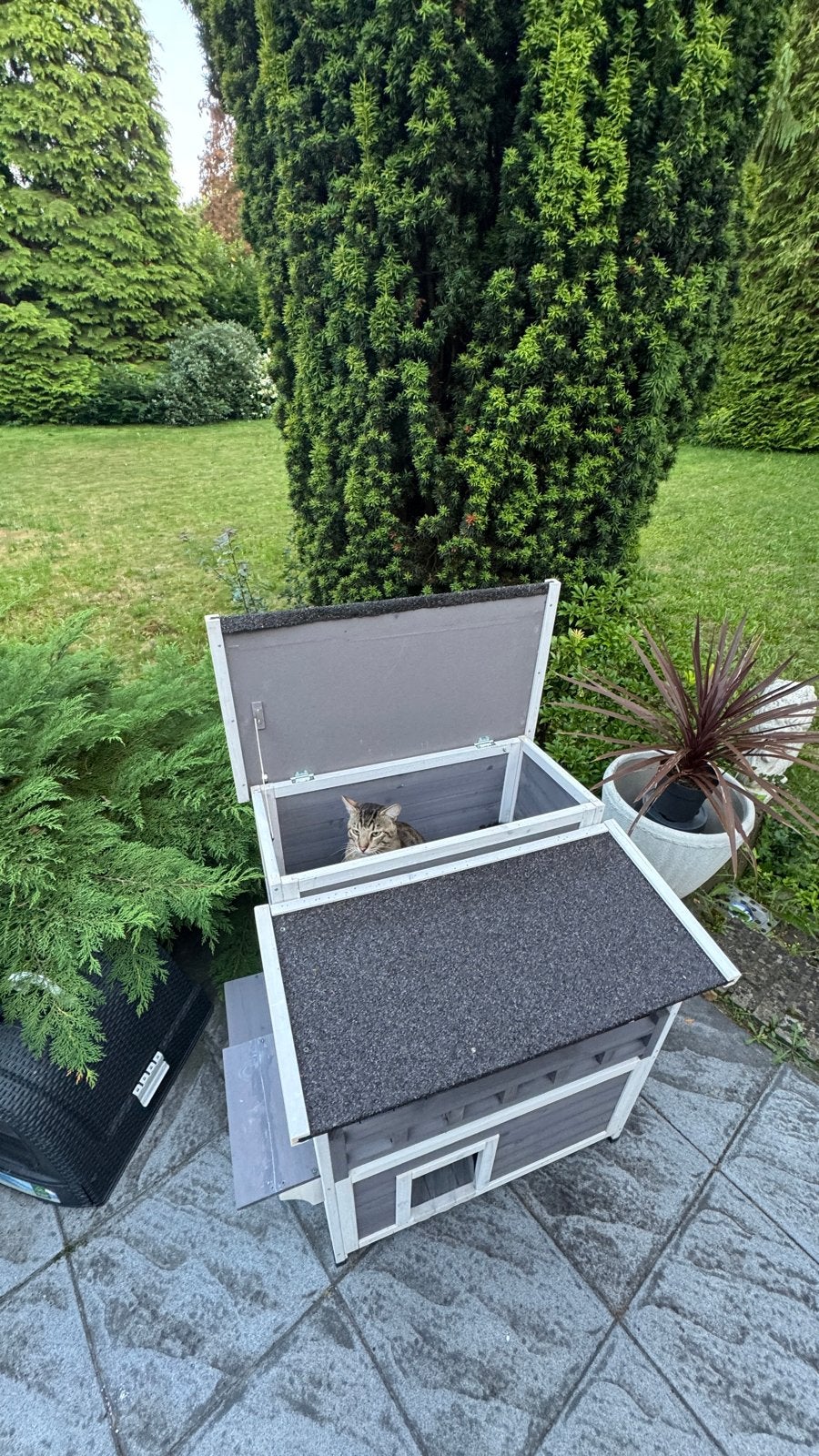 Kattenhuis helemaal nieuw, Dieren en Toebehoren, Katten-accessoires, Ophalen, Nieuw