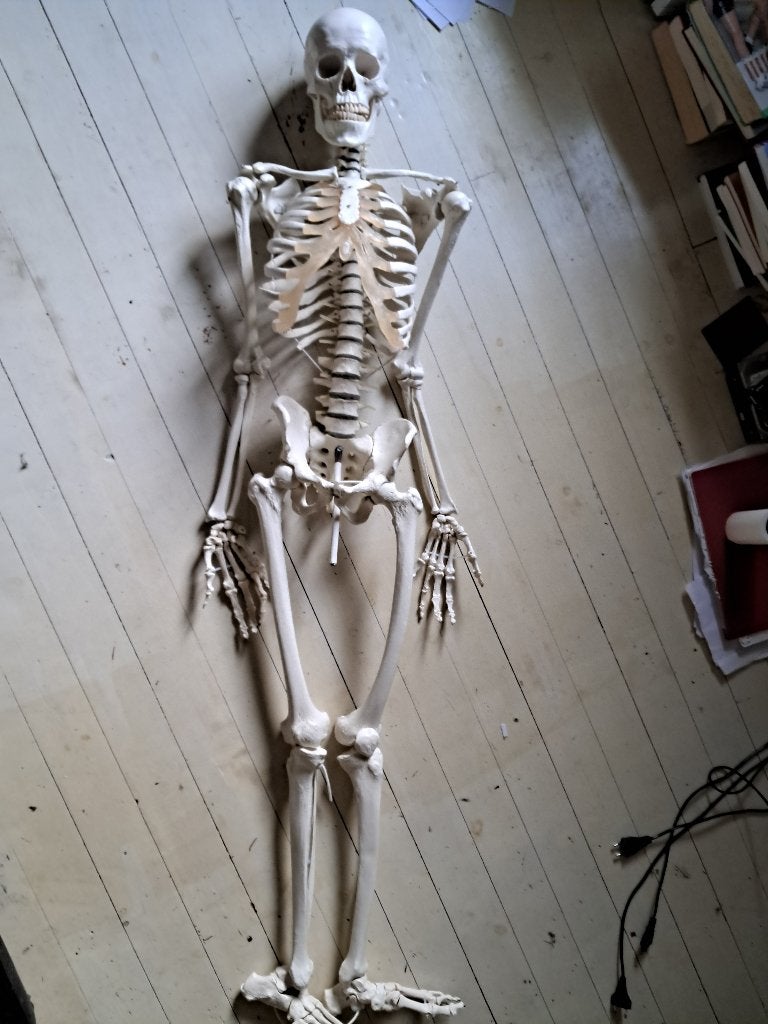 Erler-Zimmer skeleton Hugo, Ophalen of Verzenden, Zo goed als nieuw