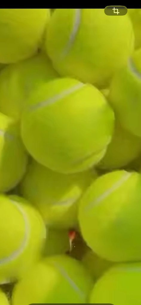 tennisballen voor hond, Ophalen, Gebruikt, Hondenballen, Overige merken