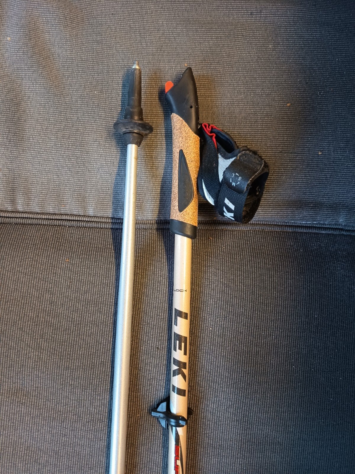 Nordic walking, wandelen in het bos, Ophalen, Wandelstok