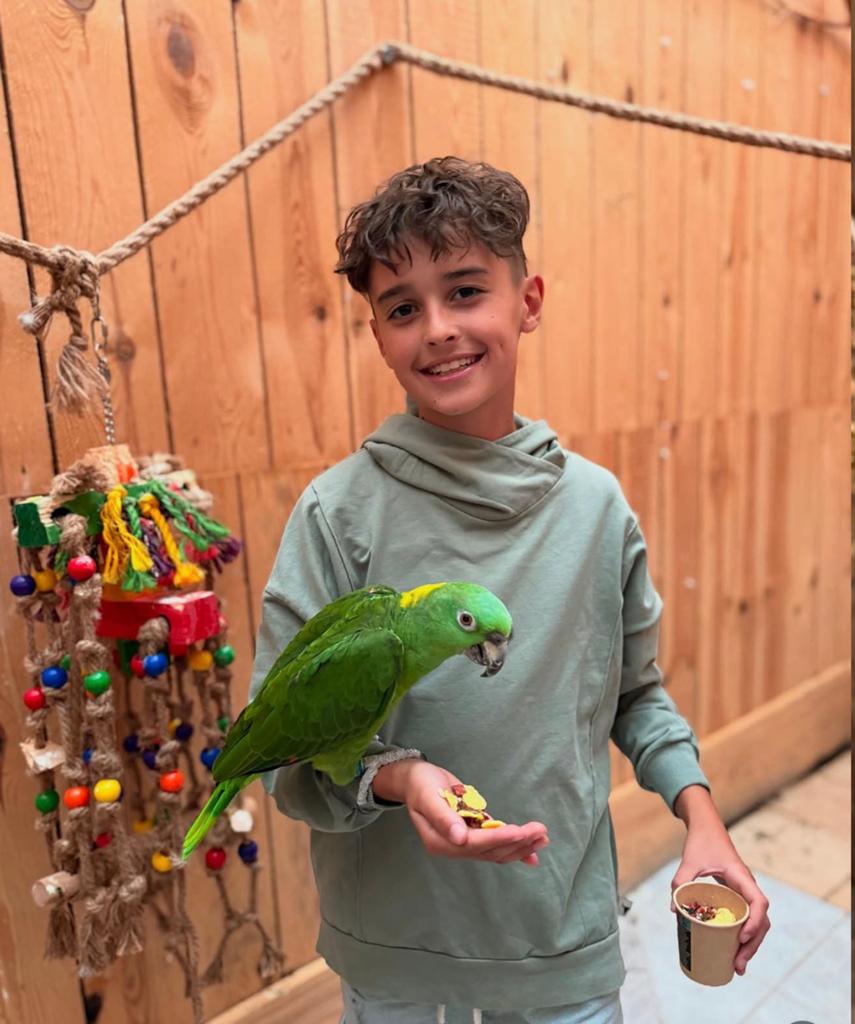 zoek samen met u kinderen de favorieten vogel soort uit, Meerdere dieren, Papegaai, Pratend