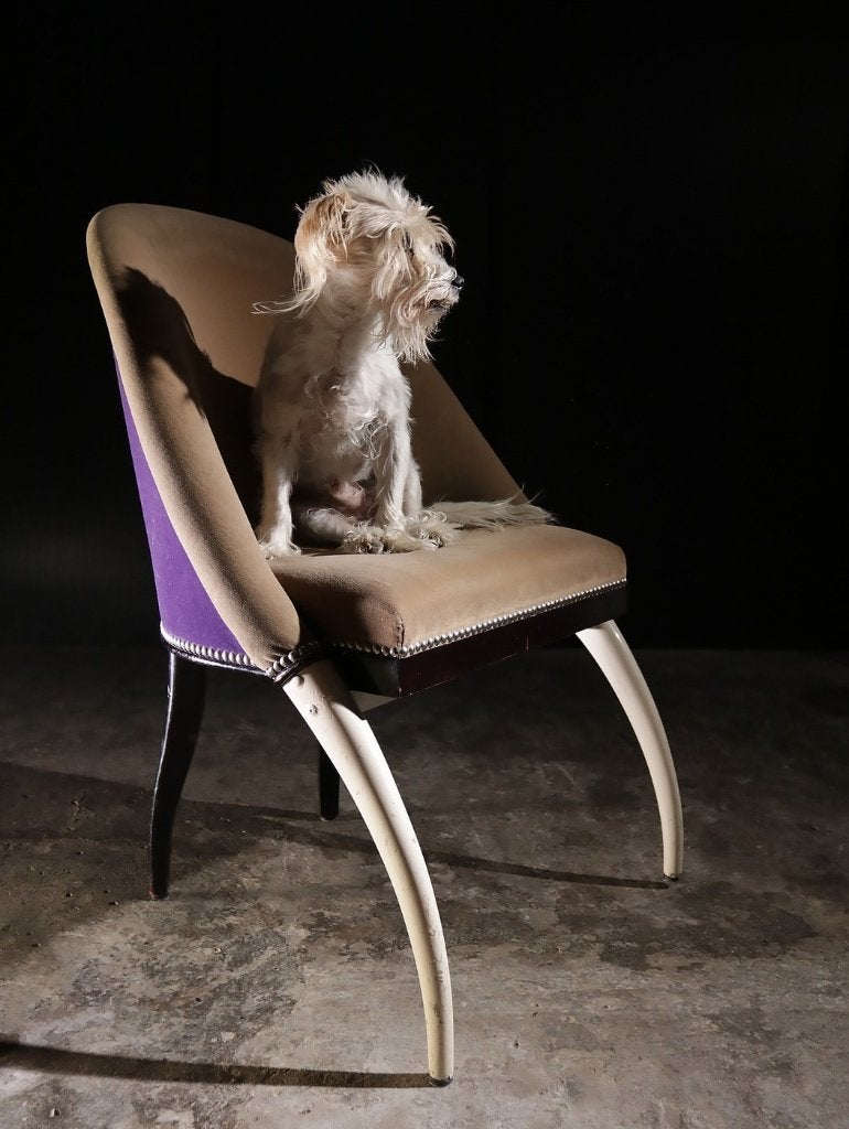 Pierre Counot Art Deco Elephant stoelen - set van 5, Huis en Inrichting, Ophalen, Hout, Gebruikt, Overige kleuren